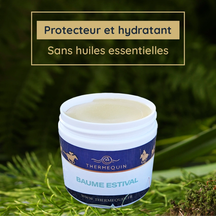 Baume protection et hydration insecte cheval été